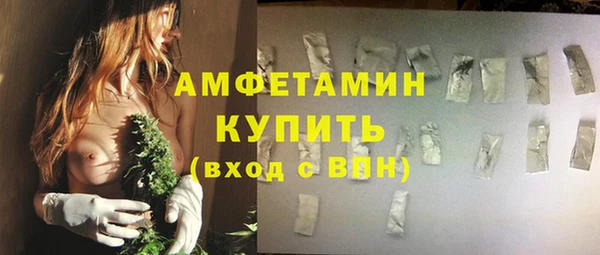 сатива Балахна