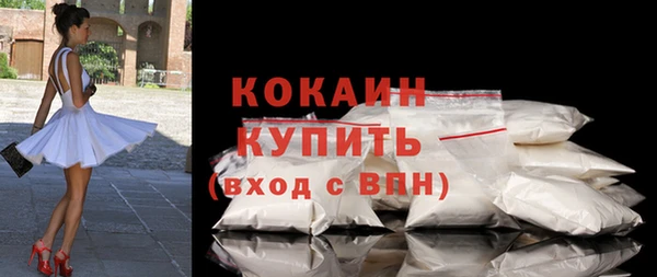 индика Беломорск