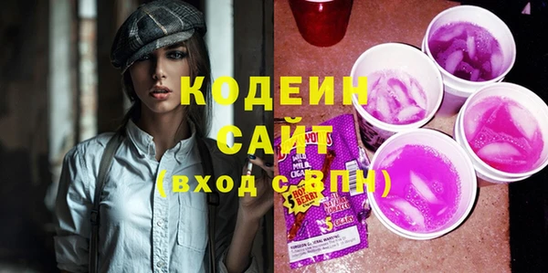 индика Беломорск