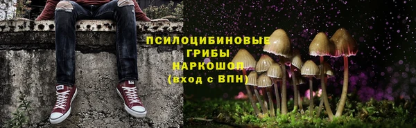 сатива Балахна