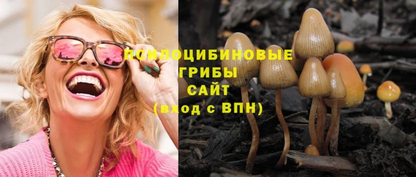 первитин Белокуриха