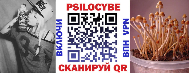 Псилоцибиновые грибы Psilocybine cubensis  Краснокаменск 