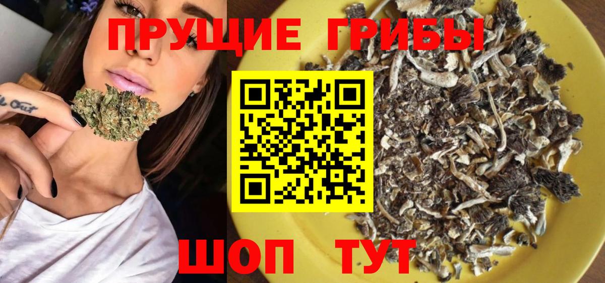 Галлюциногенные грибы Cubensis  Вход с VPN  Краснокаменск 