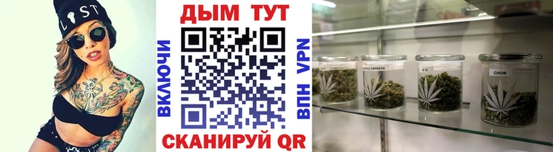 Каннабис OG Kush  Краснокаменск 